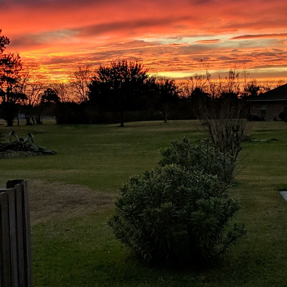 Meet your Posher, Peggy sue